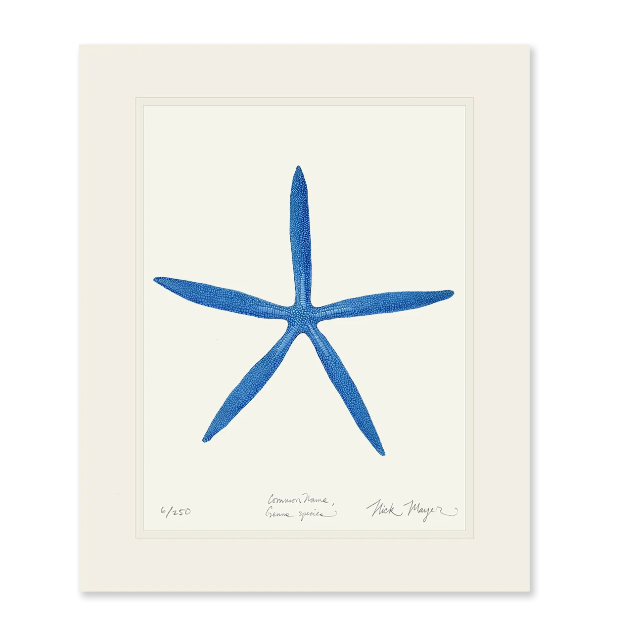 Blue Linckia II Starfish Print