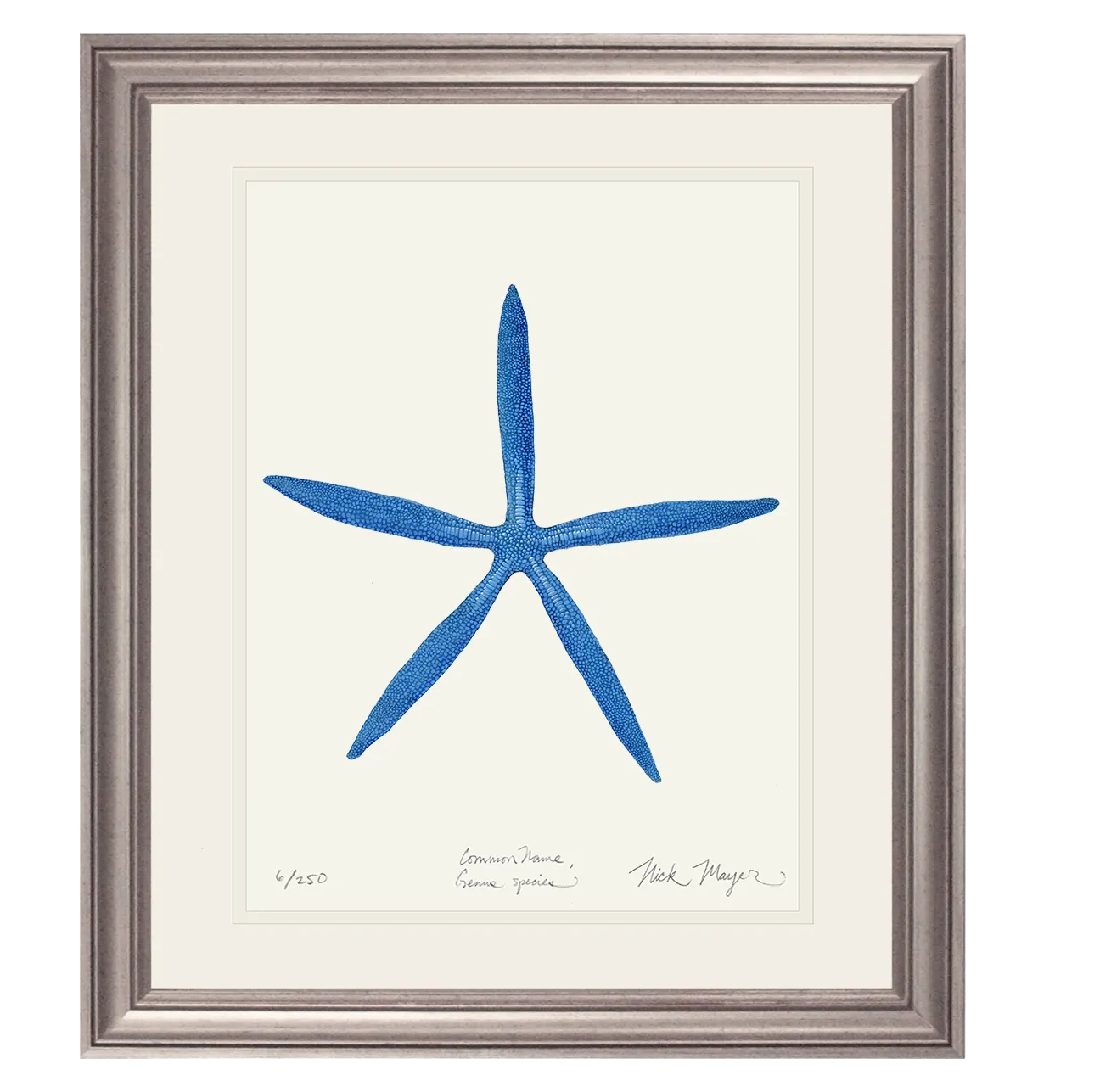Blue Linckia II Starfish Print