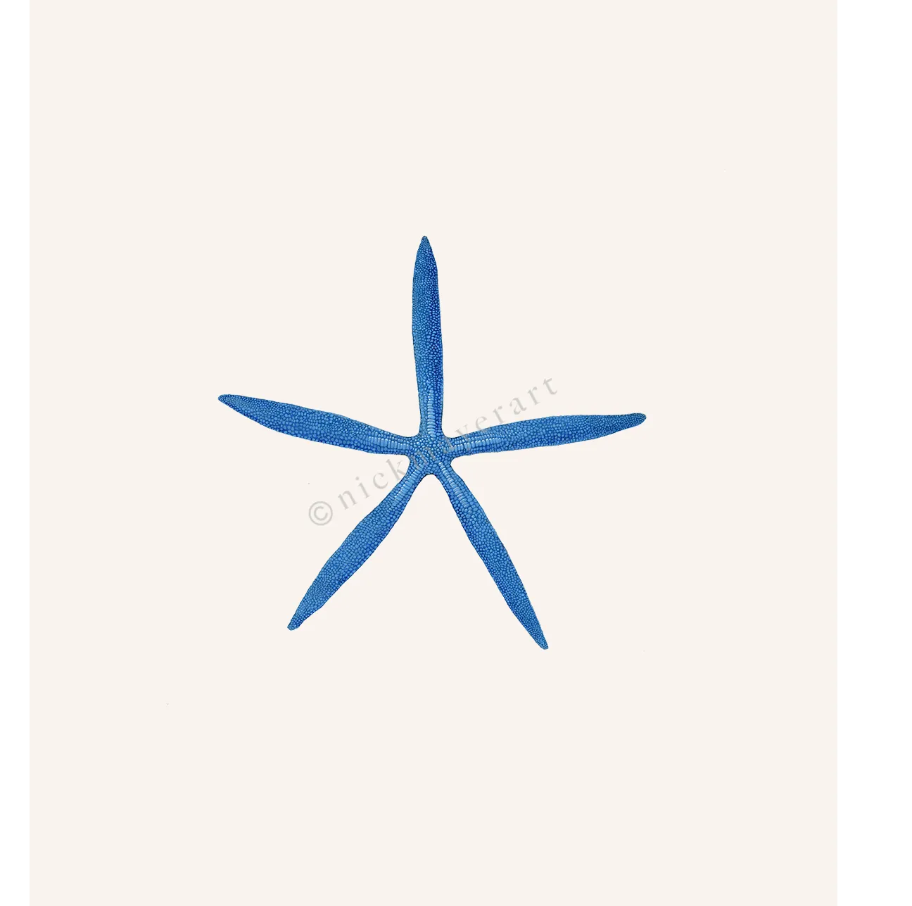 Blue Linckia II Starfish Print