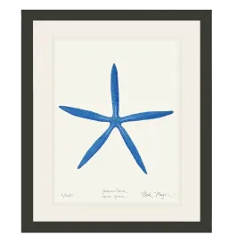 Blue Linckia II Starfish Print