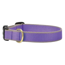 Collar | Purple & Gray