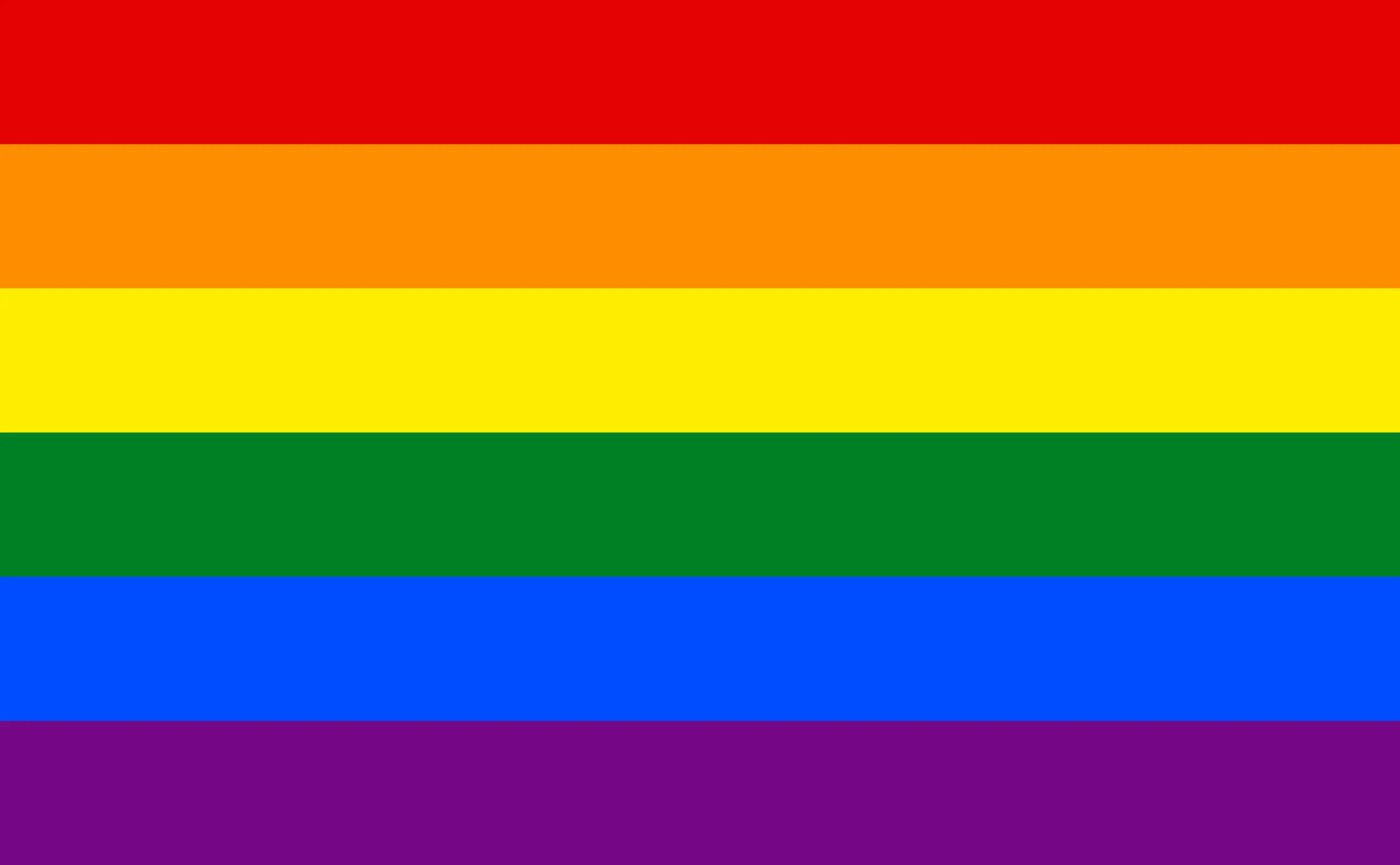 Large Polyester Pride Flag LGBTQ  Community