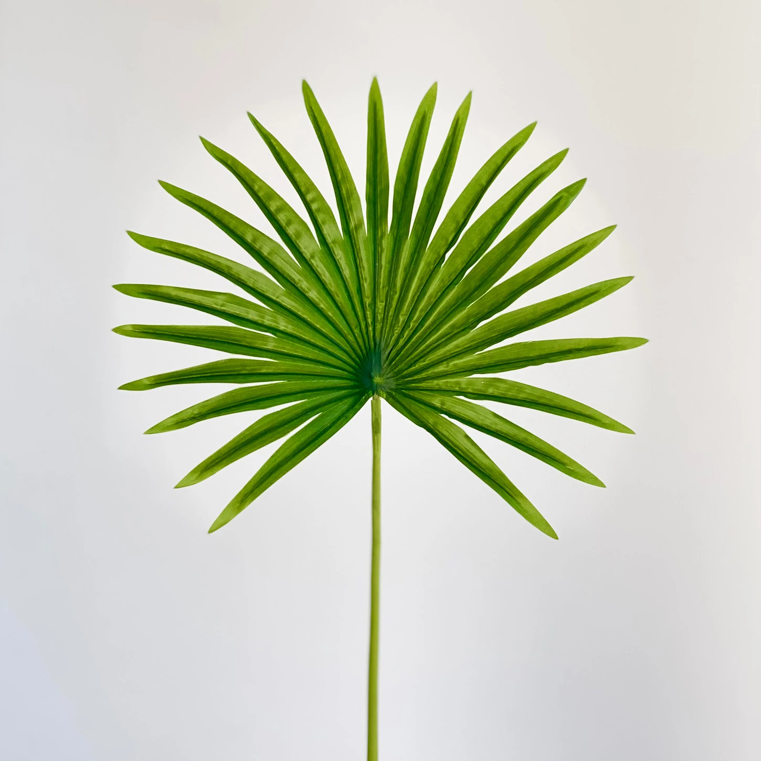 Livistona Faux Leaf